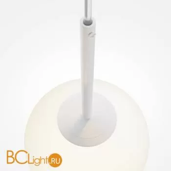 Подвесной светильник Maytoni Basic form MOD321PL-01W1 - Фото 2