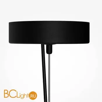 Подвесной светильник Maytoni Basic Texture MOD461PL-L5BGK - Фото 1