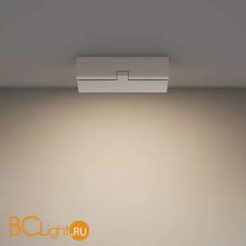 Потолочный светильник Maytoni Basis Rot C133CL-12W3K-W - Фото 2