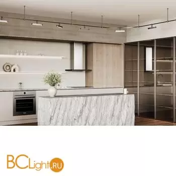 Трековый светильник Maytoni Basis Rot new TR202-1-10W3K-B - Фото 1