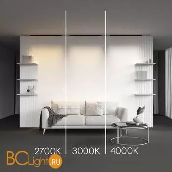 Трековый светильник Maytoni Basis new TR192-1-21W4K-B - Фото 3