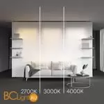 Трековый светильник Maytoni Basis new TR192-1-21W4K-B - Фото 3