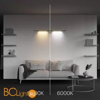 Настенный светильник Maytoni Basis C100CL-L500-12W3-6K-BS - Фото 3