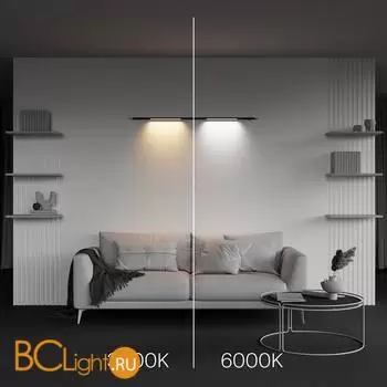 Настенный светильник Maytoni Basis C100CL-L500-12W3-6K-B - Фото 3