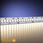 Светодиодная (LED) лента Maytoni Базовая светодиодная лента 201049 - Фото 1