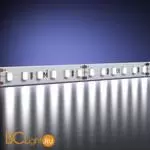 Светодиодная (LED) лента Maytoni Базовая светодиодная лента 201040 - Фото 1