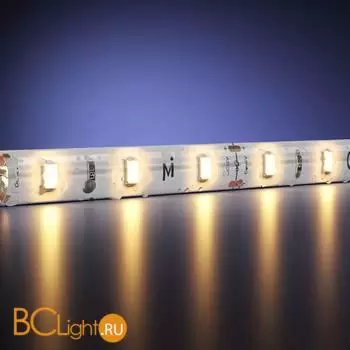 Светодиодная (LED) лента Maytoni Базовая светодиодная лента 201005 - Фото 0