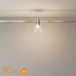 Трековый светильник Maytoni Bianca TR147-1-3W3K-PT - Фото 2