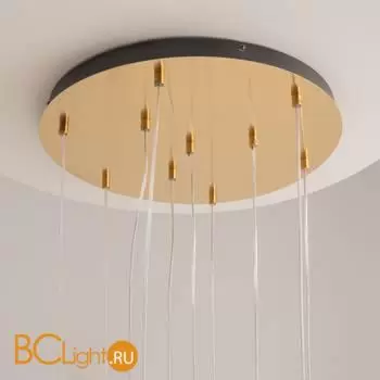 Подвесной светильник Maytoni Biology MOD367PL-L30BBSK - Фото 13