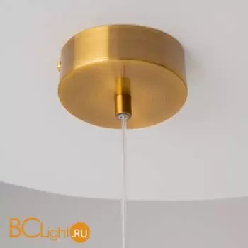 Подвесной светильник Maytoni Biology MOD367PL-L3BSK - Фото 11