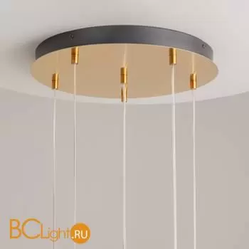 Подвесной светильник Maytoni Biology MOD367PL-L18BBSK - Фото 11