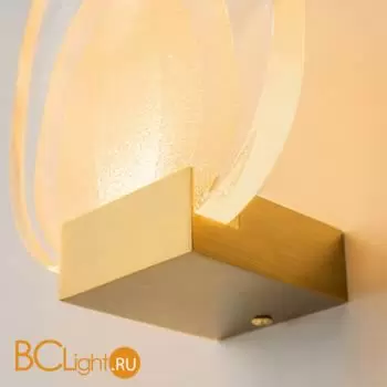 Бра Maytoni Biology MOD367WL-L3BSK - Фото 10