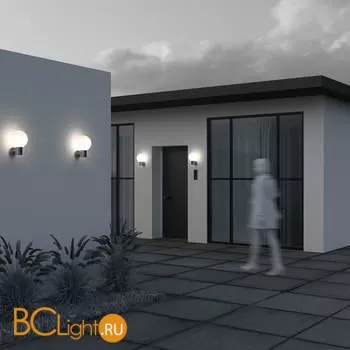 Уличный настенный светильник Maytoni Bold O598WL-01GR - Фото 3