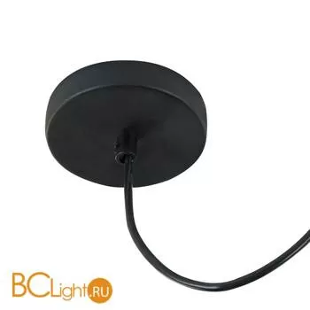 Подвесной светильник Maytoni Broni T439-PL-01-GR - Фото 2