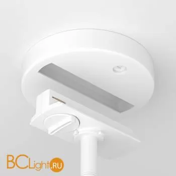 Шинопровод-адаптер Maytoni Unity одноместный белый TRA010-1-BS-W - Фото 3