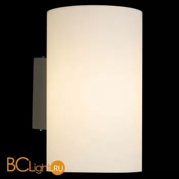 Уличный настенный светильник Maytoni Camden O008WL-01S