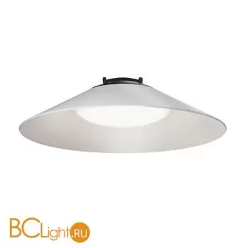 Подвесной светильник Maytoni Campana TR127B-12W4K-W