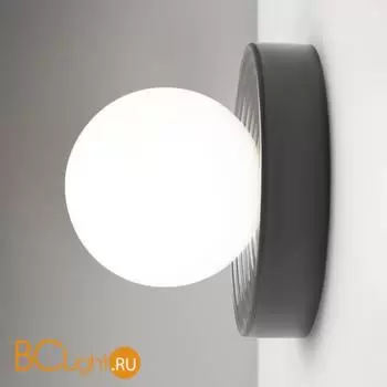 Бра Maytoni Careless MOD403WL-01GR - Фото 12