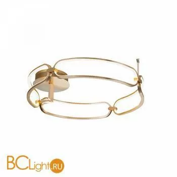 Потолочный светильник Maytoni Chain MOD017CL-L50MG