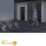 Ландшафтный светильник Maytoni Clyde O493FL-L3GF3K - Фото 8