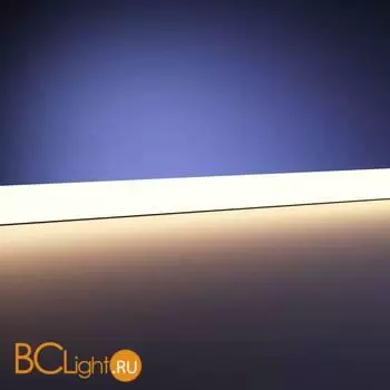 Светодиодная (LED) лента Maytoni COB светодиодная лента 201065 - Фото 1