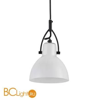 Подвесной светильник Maytoni Daniel MOD407-PL-01-B