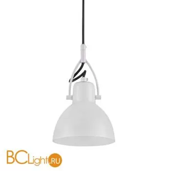 Подвесной светильник Maytoni Daniel MOD407-PL-01-W