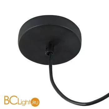 Подвесной светильник Maytoni Denver T448-PL-01-B - Фото 1