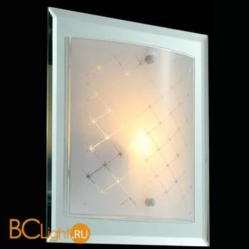 Настенно-потолочный светильник Maytoni Diada C801-CL-01-N