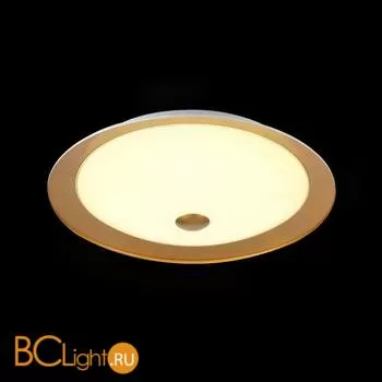 Потолочный светильник Maytoni Euler CL815-PT35-G