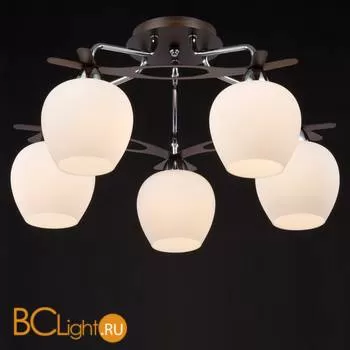 Потолочная люстра Maytoni Eurosize 7 TOC007-05-N