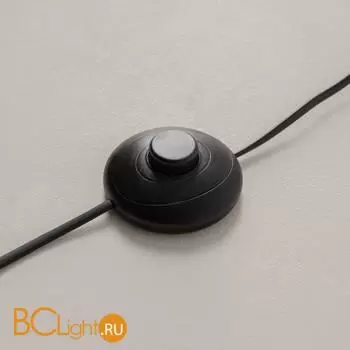 Торшер Maytoni Evolution MOD396FL-L10W3K - Фото 9