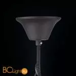 Подвесной светильник Maytoni Flask H100-06-R - Фото 4