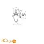 Уличный настенный светильник Maytoni Fleur O414WL-01BZ - Фото 0