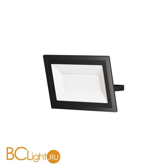 Прожектор Maytoni Flood FL001-L50B4K