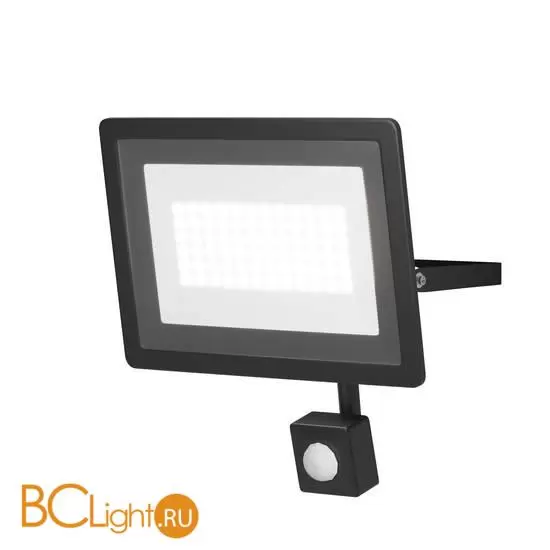 Прожектор Maytoni Flood FL001-L50B4KSR