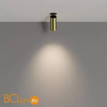 Потолочный светильник Maytoni Focus LED C053CL-L12W4K-W-BS - Фото 2