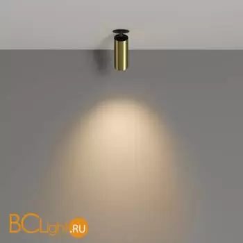 Потолочный светильник Maytoni Focus LED C053CL-L12W3K-W-BS - Фото 2