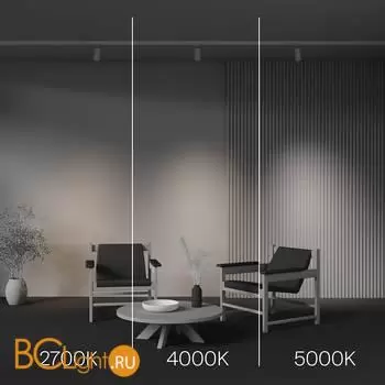 Трековый светильник Maytoni Focus Led new TR197-3-12WCCT-M-W - Фото 4