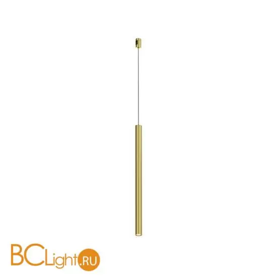 Трековый светильник Maytoni Focus Led TR156-1-5W3K-BS