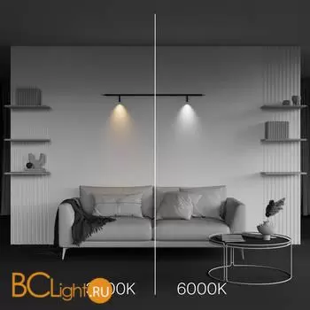 Настенный светильник Maytoni Focus Led C102CL-3W3-6K-B - Фото 3