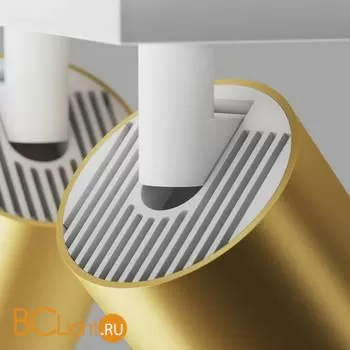 Потолочный светильник Maytoni Focus S GU10 2x10Вт C051CL-U-2WMG - Фото 1