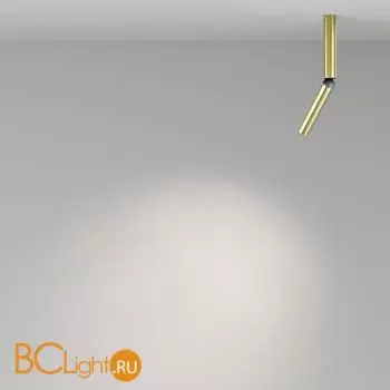 Спот Maytoni Focus T new C142CL-6W4K-BS - Фото 2