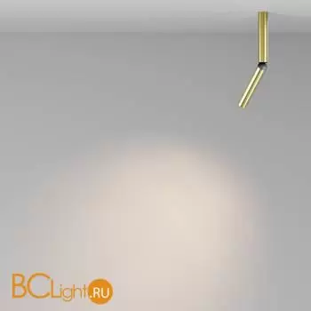 Спот Maytoni Focus T new C142CL-6W3K-BS - Фото 2