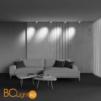 Трековый светильник Maytoni Focus Zoom new TR211-1-12W4K-Z-W - Фото 4