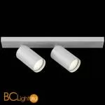 Потолочный светильник Maytoni Focus C051CL-02W