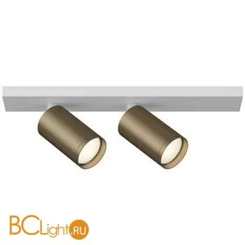 Потолочный точечный светильник Maytoni Foscus S C051CL-2WBZ