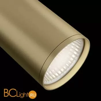 Потолочный светильник Technical C051CL-01MG