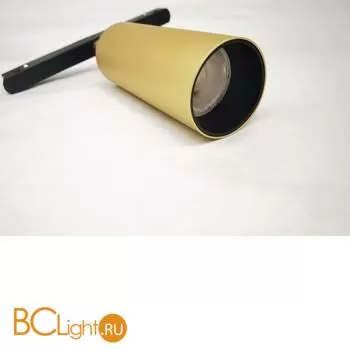 Трековый светильник Maytoni Focus Led Exility 3000K 12Вт 24° TR032-2-12W3K-S-MG