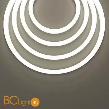 Гибкий неон 25x13 220В 8Вт/м 6000K IP65 50м - Фото 2